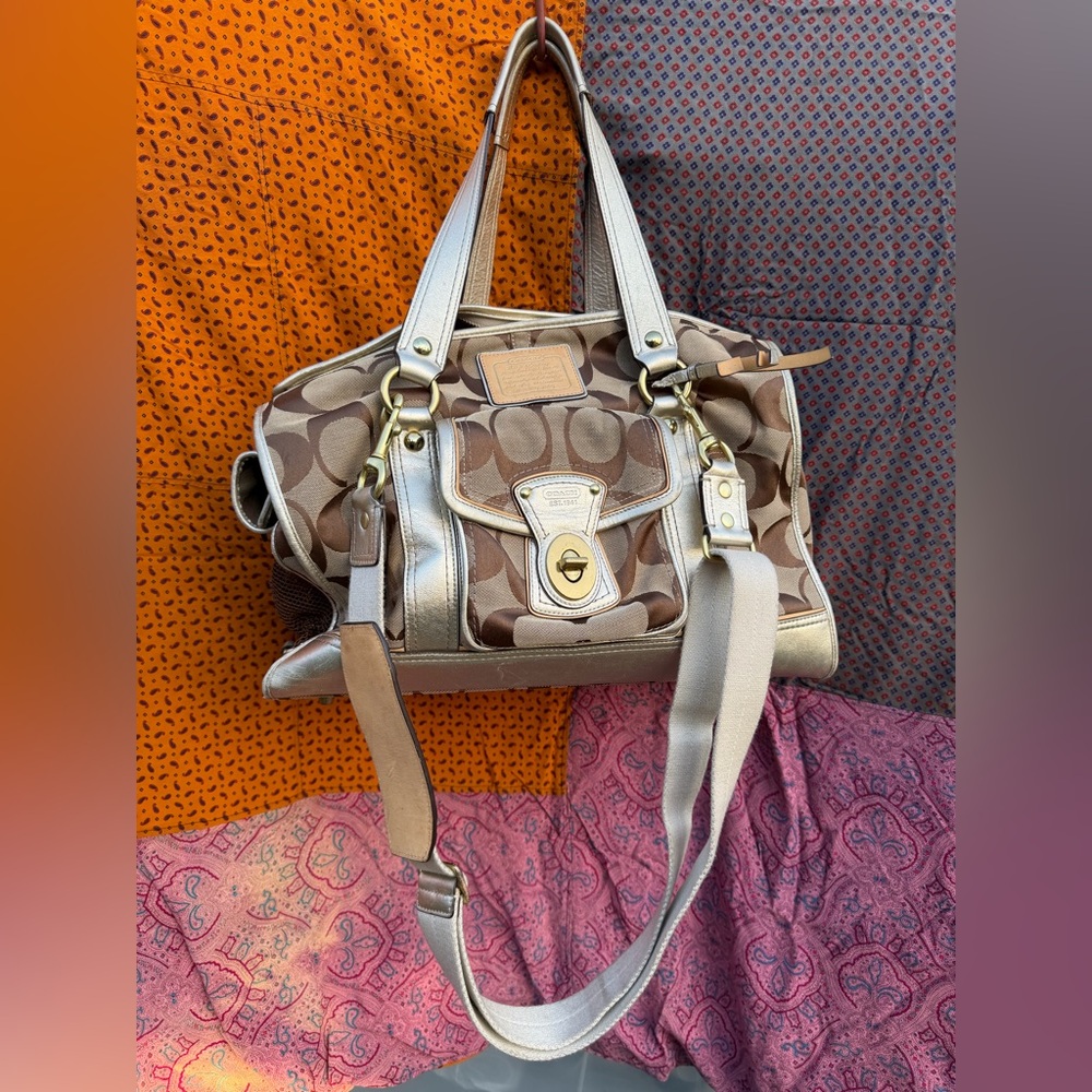 Vintage Coach Dog Carrier